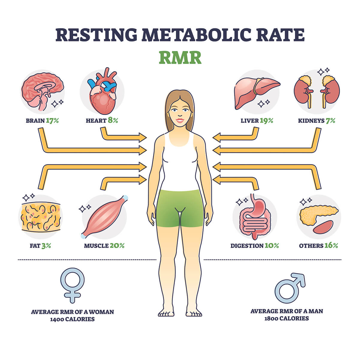 Resting Metabolic Rate